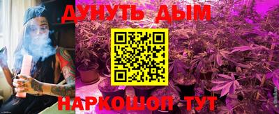 индика Изобильный