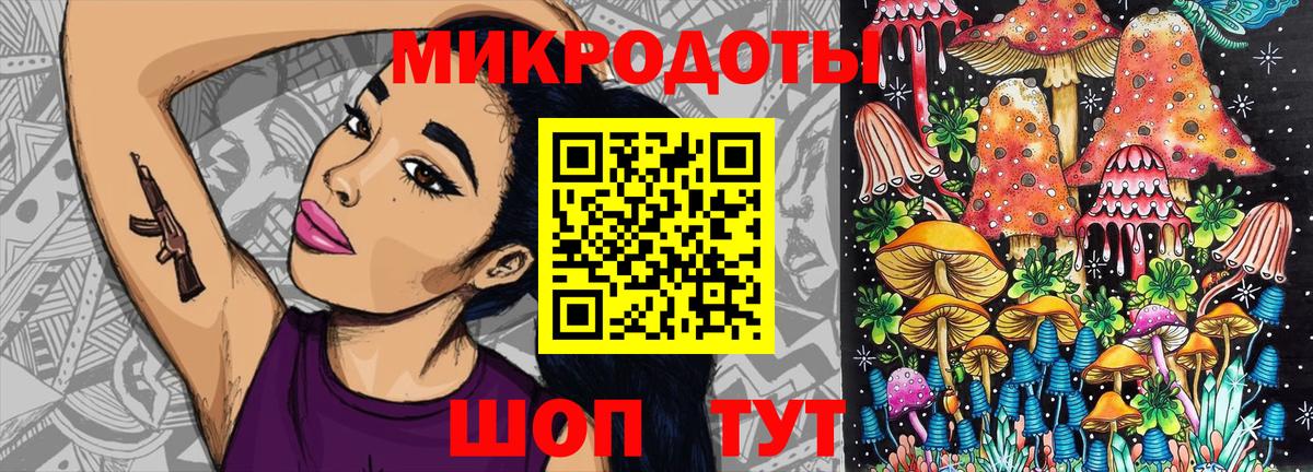 Псилоцибиновые грибы Psilocybe Городец
