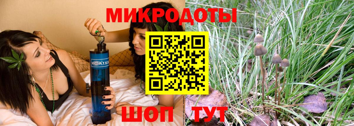 Городец  Псилоцибиновые грибы ЛСД  Вход с VPN 